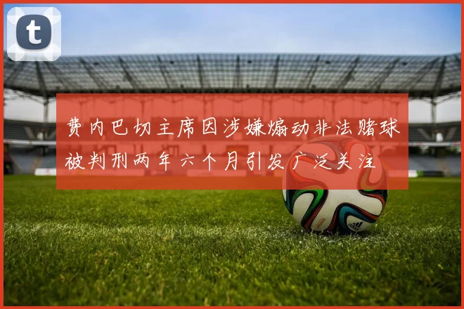 费内巴切主席因涉嫌煽动非法赌球被判刑两年六个月引发广泛关注